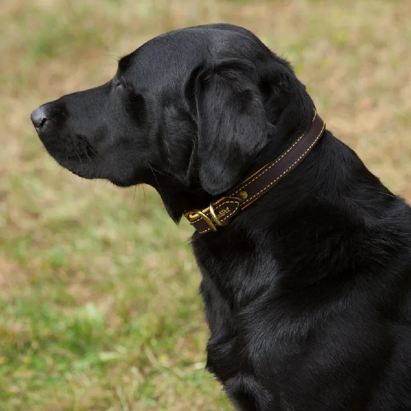 Deer Skin Lined Leather Dog Collar