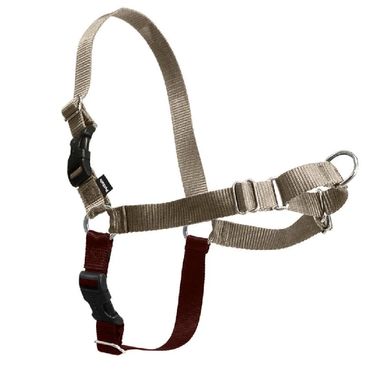 Easy Walk Harness