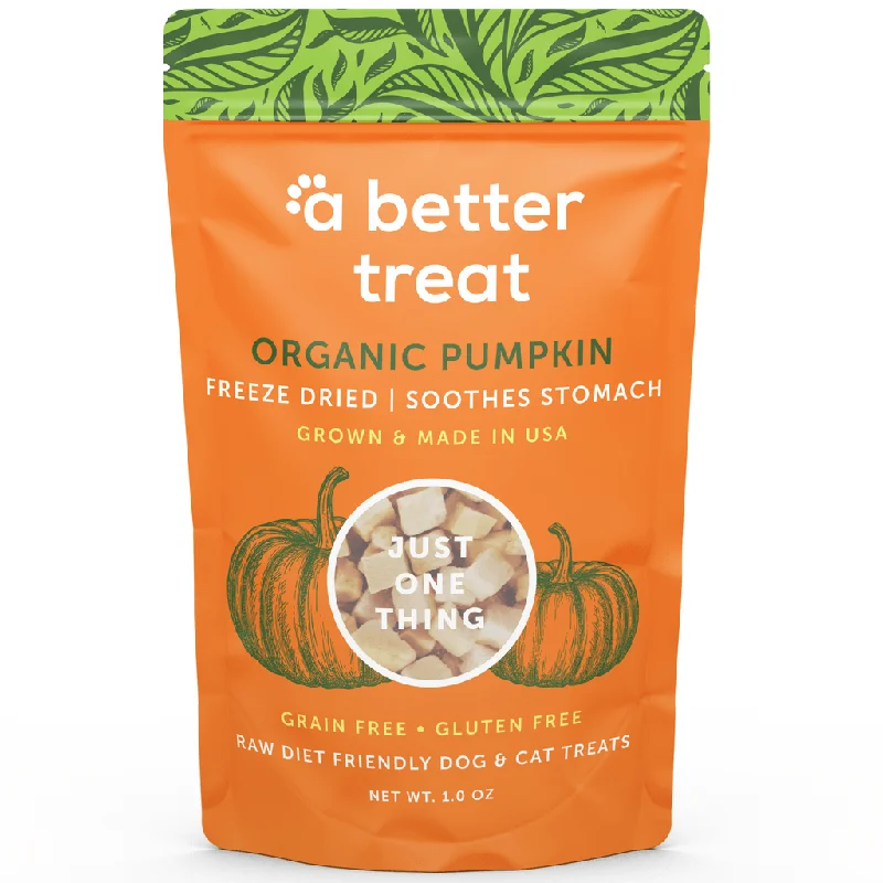 A Better Treat | Freeze Dried Raw USDA Organic Pumpkin Dog and Cat Treats