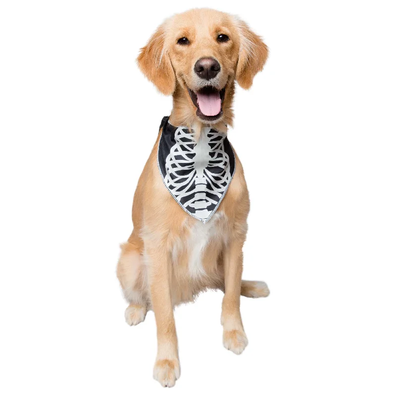 Glow-In-The-Dark Skeleton Dog Bandana