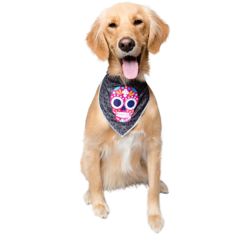 Glow-In-The-Dark Skull Dog Bandana