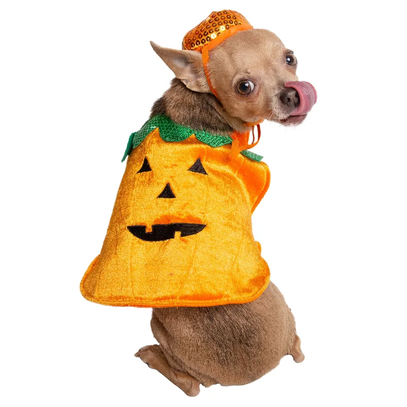 Halloween Pumpkin Dog Costume