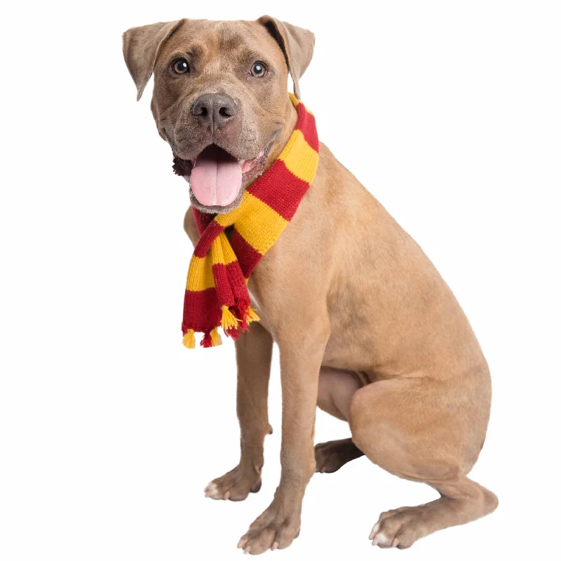 Hipster Wizard Striped Dog Scarf