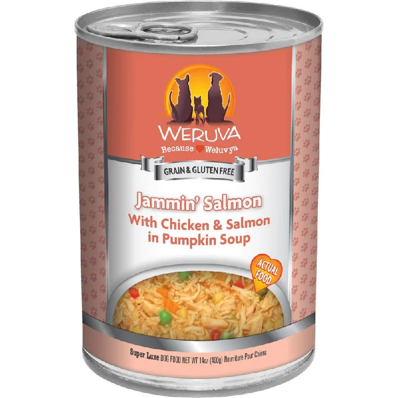 Jammin' Salmon Grain-Free Canned Dog Food