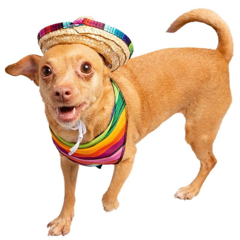 Sombrero and Serape Dog Costume