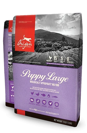 Orijen Puppy Large Breed Dog Food