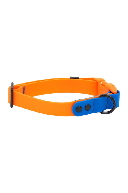 RC Pets Waterproof Azalea and Orange Dog Collar