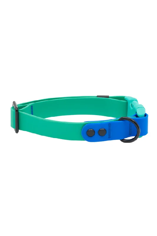 RC Pets Waterproof Parakeet and Sapphire Dog Collar