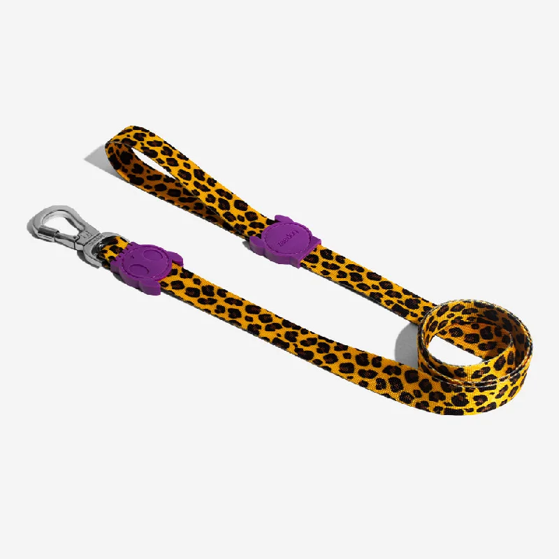 Zee Dog Honey Dog Lead