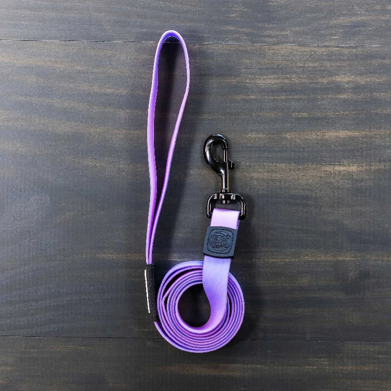 Aurora Waterproof Leash