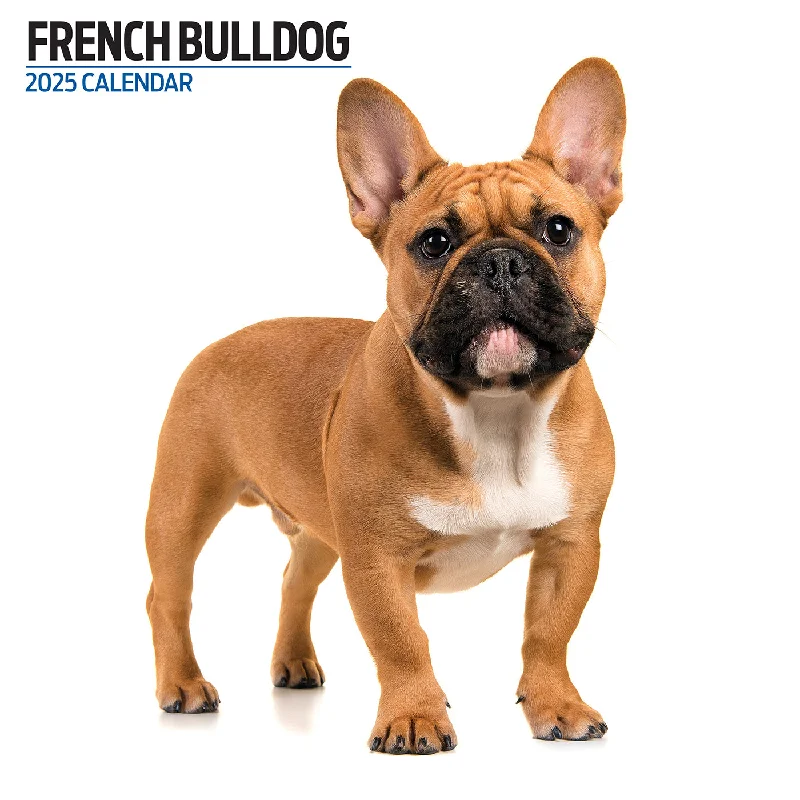 French Bulldog Modern Calendar 2025