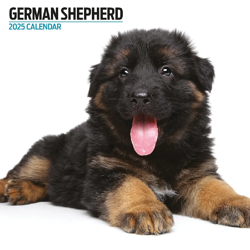 German Shepherd Modern Calendar 2025