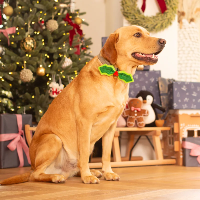 House of Paws Christmas Holly Bow Tie