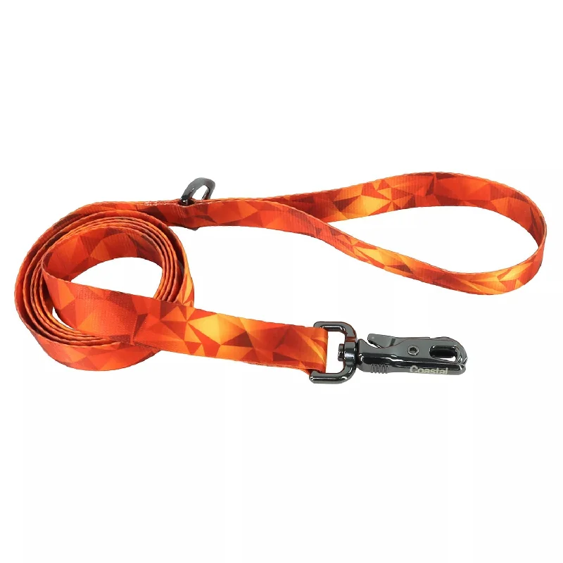 Inspire Fashion Dog Leash