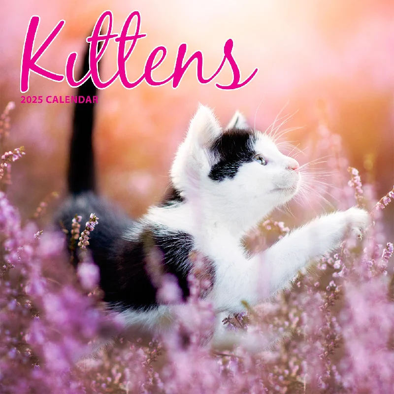 Kittens Traditional Calendar 2025