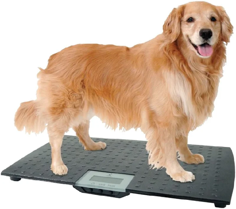 Large Digital Pet Scale