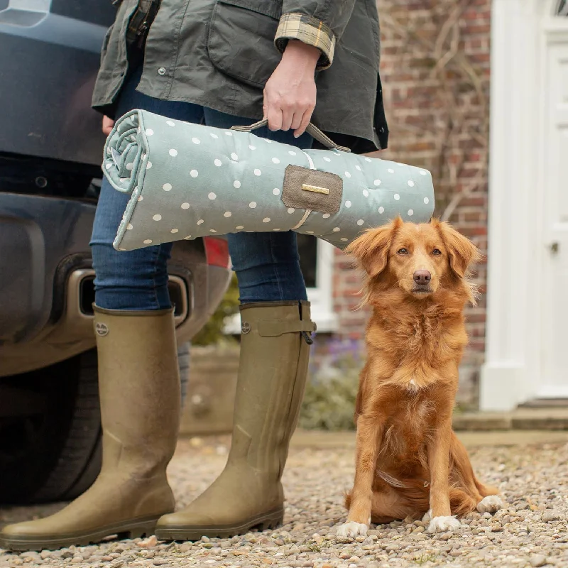 Travel Mat in Duck Egg Spot by Lords & Labradors