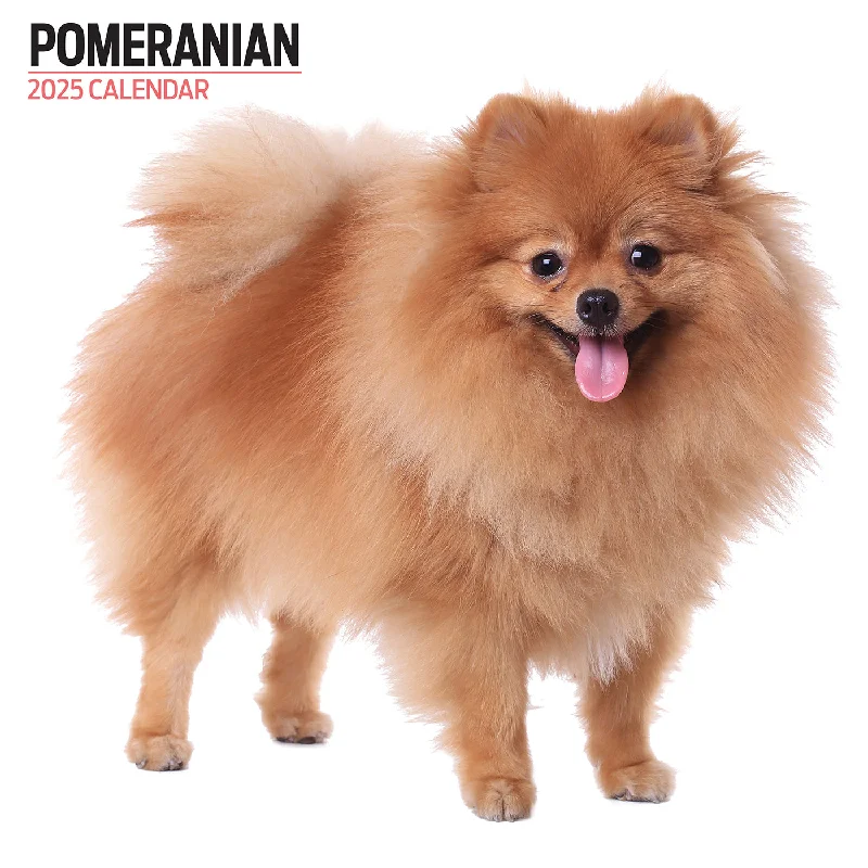 Pomeranian Modern Calendar 2025