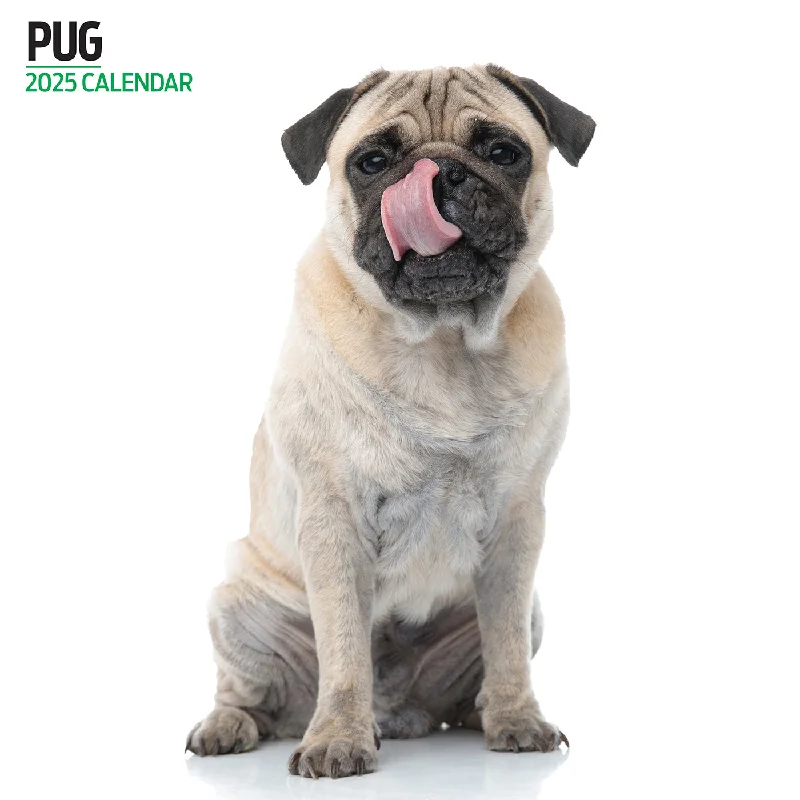 Pug Modern Calendar 2025