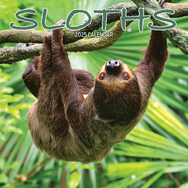 Sloths Calendar 2025