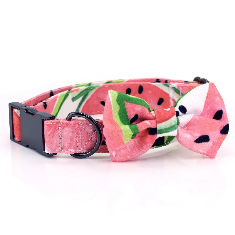 Watermelon Dog Collar with Bow Tie