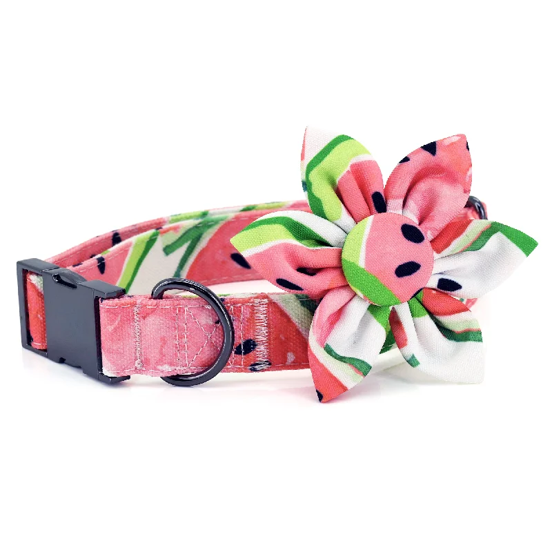 Watermelon Dog Collar with Flower