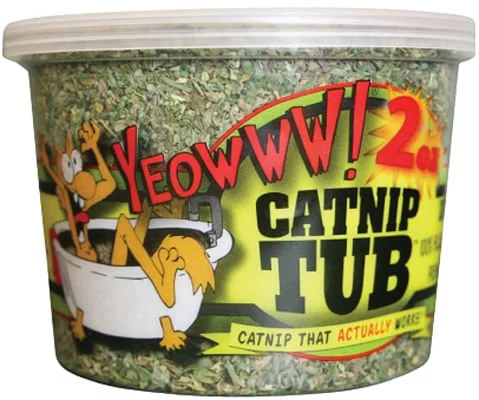 Yeowww! Catnip