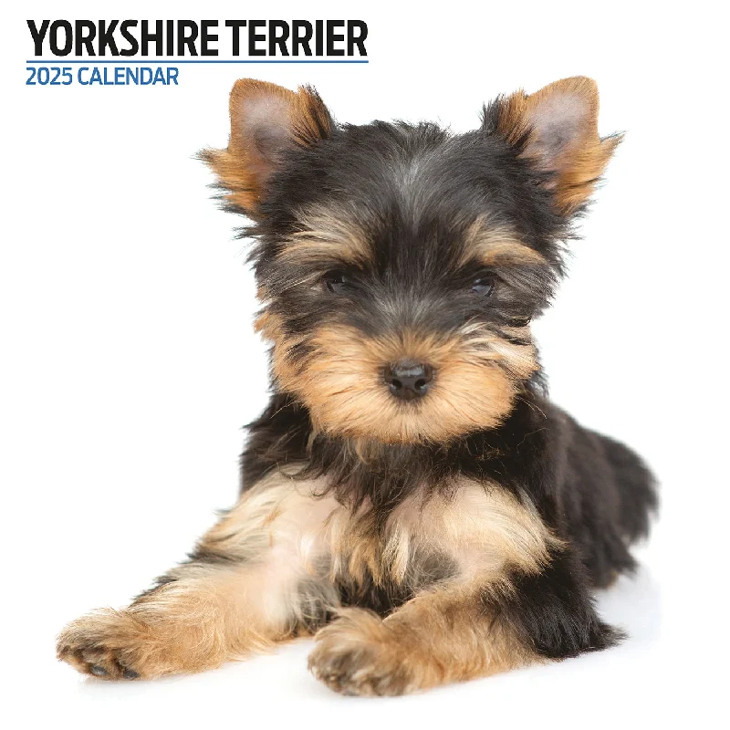 Yorkshire Terrier Modern Calendar 2025