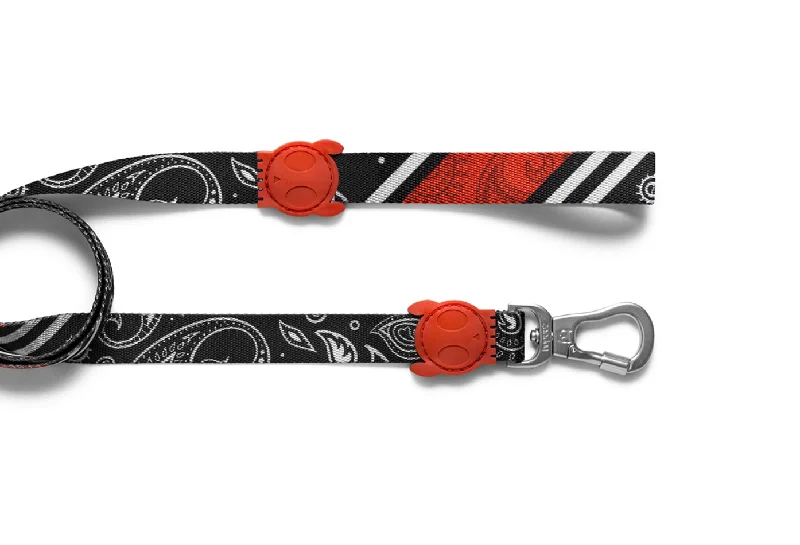 Paisley Leash